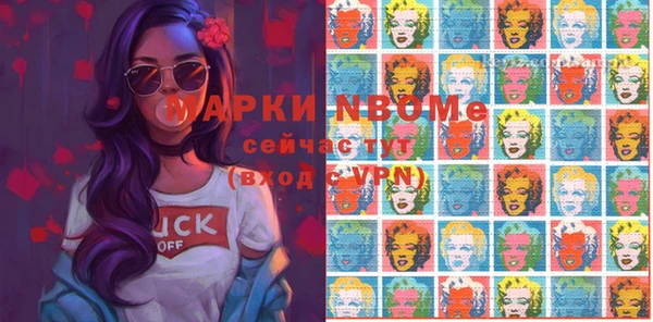 хмурый Каменка