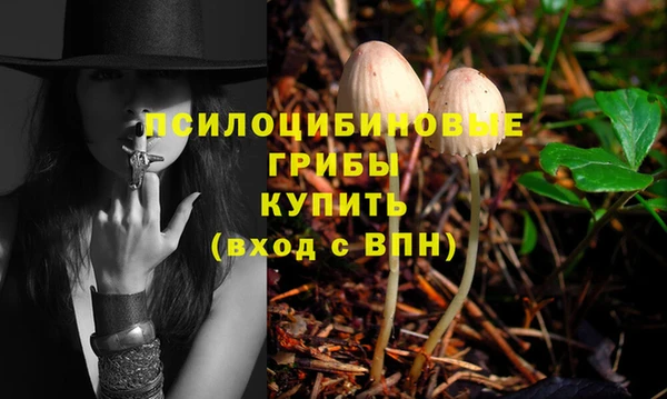 mix Баксан